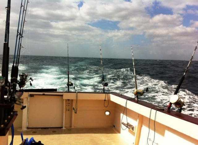  trolling style fishing 